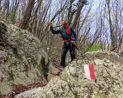 In Canto Alto (1146 m) da Ripa-Zogno ad anello fiorito il 10 aprile 2025 - FOTOGALLERY